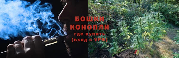 индика Беломорск