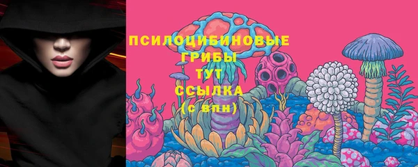 прущие крисы Ладушкин